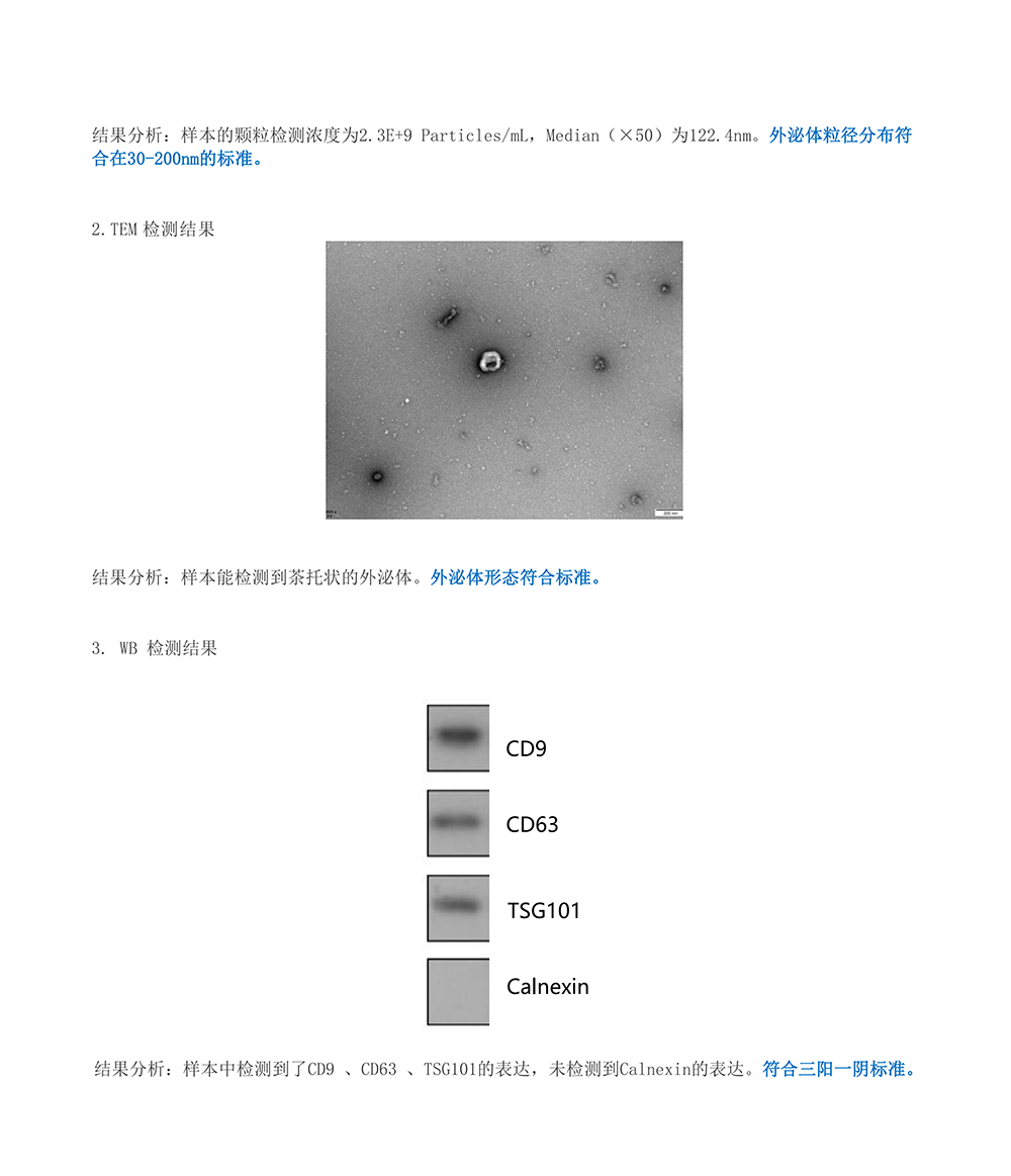 外泌体检测报告-QC报告_02.png